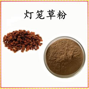 灯笼草粉 灯笼草提取物 可定制 水溶 包邮