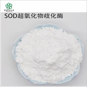 SOD酵母粉 SOD超氧化物歧化酶10000IU/g 产品图片