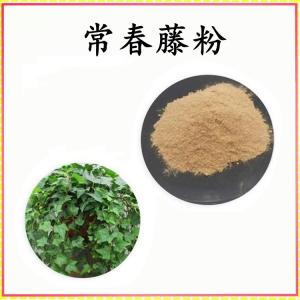 常春藤粉 常春藤提取物 可定制 水溶 包邮