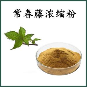 常春藤浓缩粉 常春藤粉 可定制 水溶 包邮
