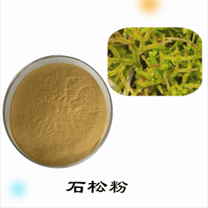 石松粉    石松粉提取物    可定制   水溶