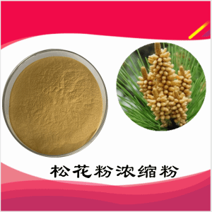 松花粉浓缩粉  松花粉  可定制  包邮