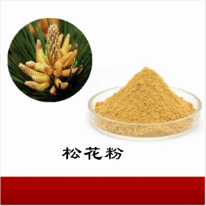 松花粉   松花粉提取物    可定制  水溶