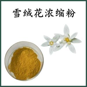 雪绒花浓缩粉 雪绒花粉 可定制 水溶 包邮
