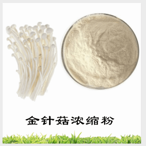 金针菇浓缩粉   金针菇粉   可定制  包邮