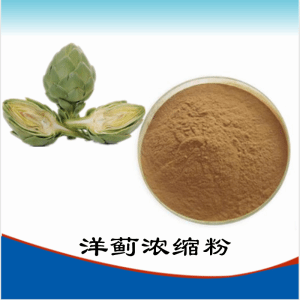 洋蓟浓缩粉    洋蓟粉  可定制   包邮