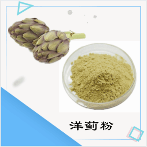 洋蓟粉   洋蓟提取物   可定制  水溶