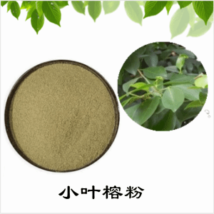 小叶榕粉   小叶榕提取物    可定制 水溶