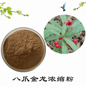 八爪金龙浓缩粉     八爪金龙粉  可定制  包邮