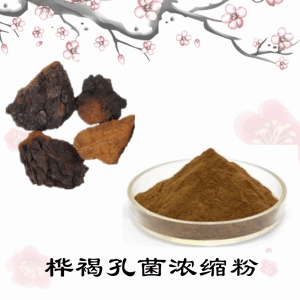 桦褐孔菌浓缩粉     桦褐孔菌粉  可定制   包邮