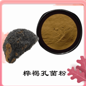 桦褐孔菌粉  桦褐孔菌提取物    可定制 水溶