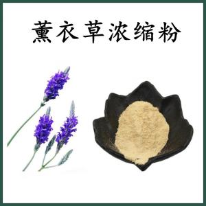 薰衣草浓缩粉 薰衣草浓缩粉 可定制 水溶 包邮