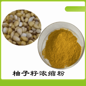 柚子籽浓缩粉  柚子籽粉    可定制  包邮