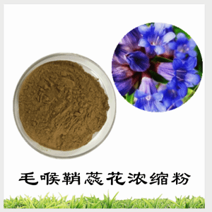 毛喉鞘蕊花浓缩粉    毛喉鞘蕊花粉    可定制  包邮