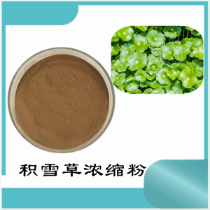 积雪草浓缩粉     积雪草粉   可定制  包邮