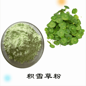 积雪草粉    积雪草提取物   可定制 水溶