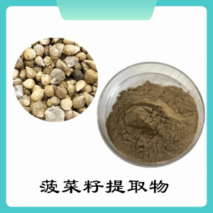 菠菜籽粉     菠菜籽提取物     可定制 水溶