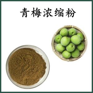 青梅浓缩粉 青梅粉 可定制 水溶 包邮