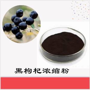 黑枸杞浓缩粉   黑枸杞粉    可定制 包邮