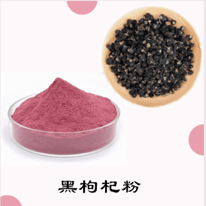 黑枸杞粉     黑枸杞提取物  可定制 水溶