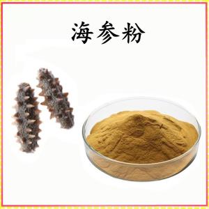 海参粉 海参提取物 可定制 水溶 包邮