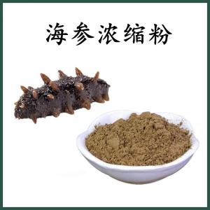 海参浓缩粉 海参粉 可定制 水溶 包邮