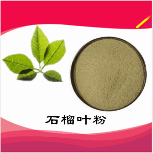 石榴叶粉    石榴叶提取物   可定制 水溶