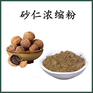 砂仁浓缩粉 砂仁粉 可定制 水溶 包邮