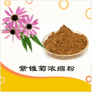 紫锥菊浓缩粉     紫锥菊粉  可定制   包邮