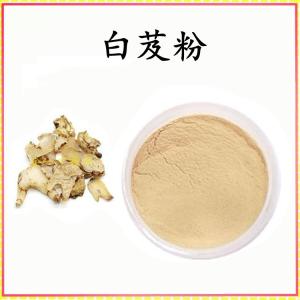 白芨 粉 白芨提取物 可定制 水溶 包邮