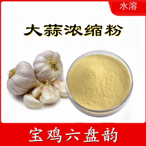 大蒜浓缩粉  六盘韵  喷雾干燥粉