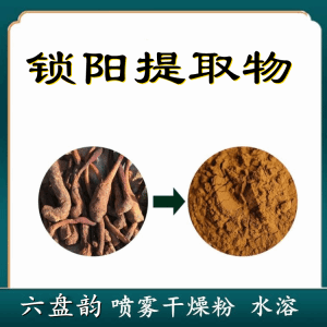 锁阳提取物 六盘韵  锁阳粉  支持免费取样