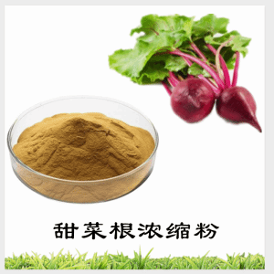 甜菜根浓缩粉     甜菜根粉  可定制 包邮
