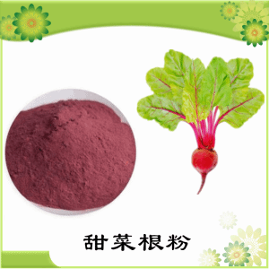 甜菜根粉   甜菜根提取物   可定制 水溶