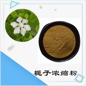 栀子浓缩粉  栀子粉  可定制   包邮