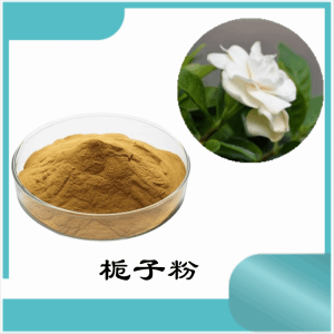 栀子粉    栀子提取物   可定制 水溶