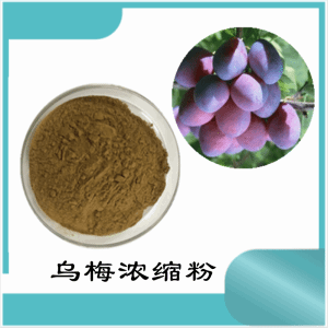 乌梅浓缩粉   乌梅粉   可定制   包邮