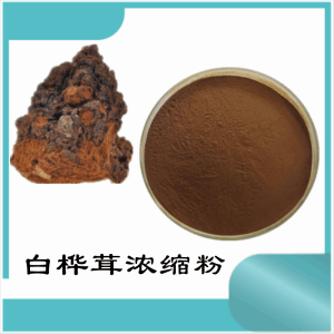 白桦茸浓缩粉  白桦茸粉  可定制  包邮