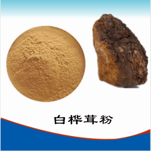 白桦茸粉   白桦茸提取物  可定制 水溶