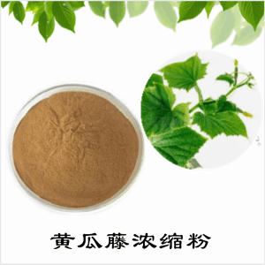 黄瓜藤浓缩粉  黄瓜藤粉  可定制  包邮