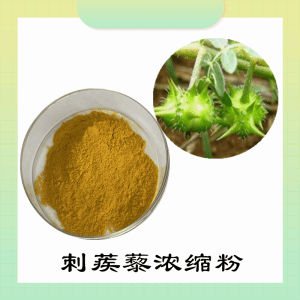 刺蒺藜浓缩粉  刺蒺藜粉  可定制  包邮