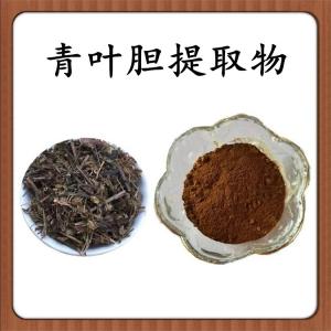 青叶胆浓缩粉 青叶胆粉 可定制 水溶 包邮