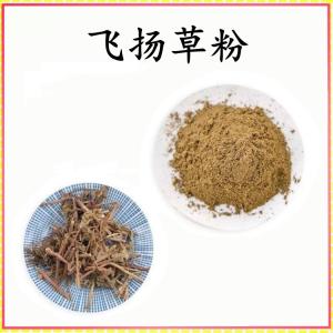 飞扬草粉 飞扬草提取物 可定制 水溶 包邮