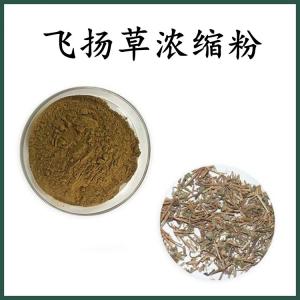 飞扬草浓缩粉 飞扬草粉 可定制 水溶 包邮