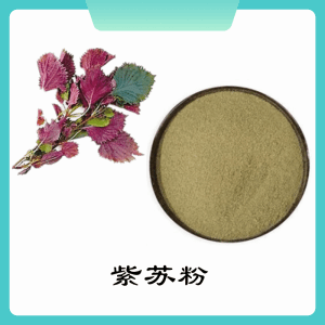 紫苏粉   紫苏提取物   可定制   水溶
