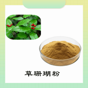 草珊瑚粉    草珊瑚提取物    可定制  水溶