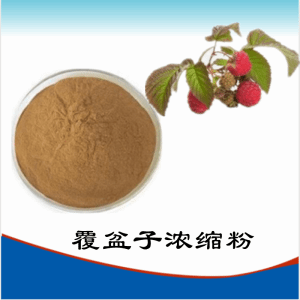 覆盆子浓缩粉    覆盆子粉  可定制    水溶