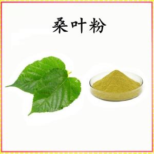 桑叶 粉 桑叶提取物 可定制 水溶 包邮