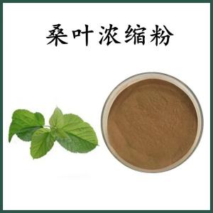 桑叶 浓缩粉 桑叶粉 可定制 水溶 包邮