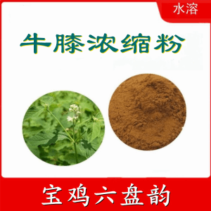 牛膝浓缩粉  六盘韵 植物提取  可定制